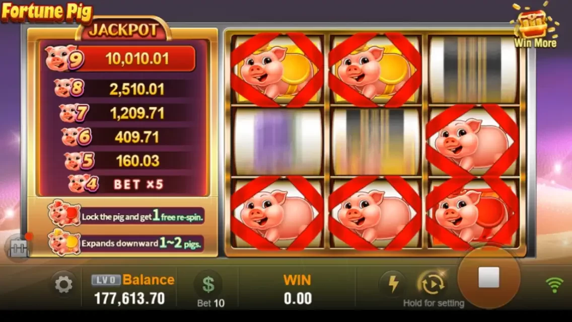Fortune Pig Captura de tela do jogo 1 Fortune Pig Captura de tela do jogo 1