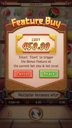 ninja-raccoon-frenzy-feature-buy_en2
