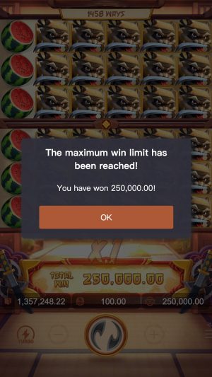 ninja-raccoon-frenzy-max-win_en