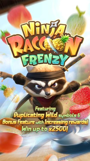 ninja-raccoon-frenzy-splash_en