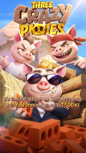 three-crazy-piggies_splash-screen_en